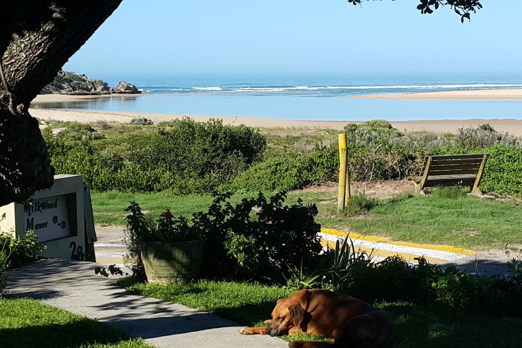 the view from front lawn