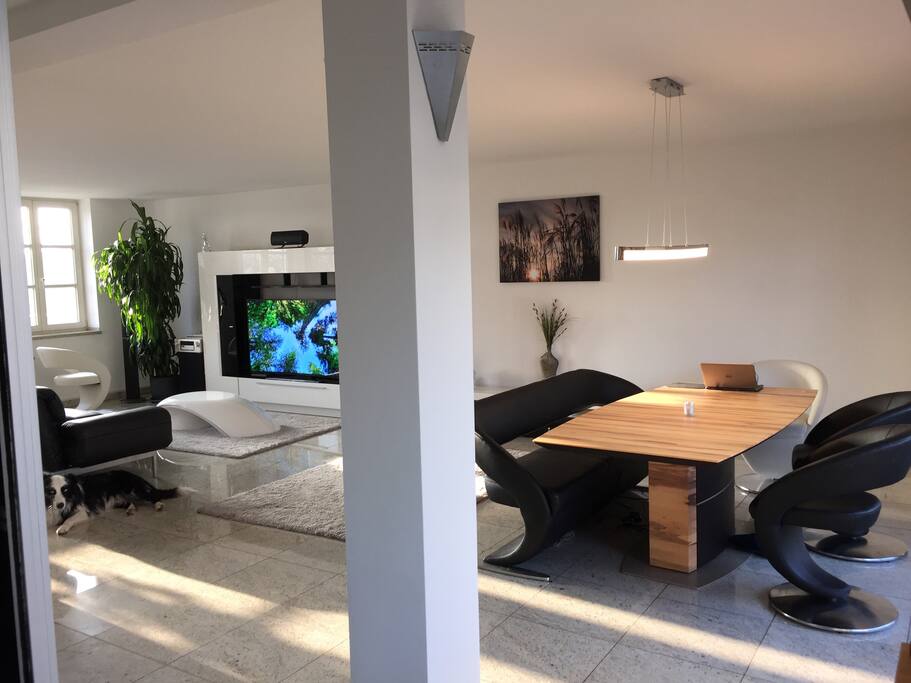 Wohn-Esszimmer