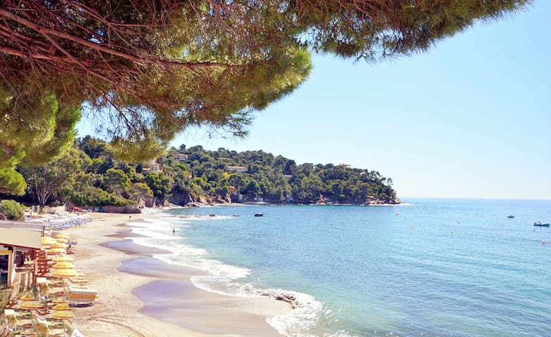 Get Plage 2 chambres virginie face a locean For Free