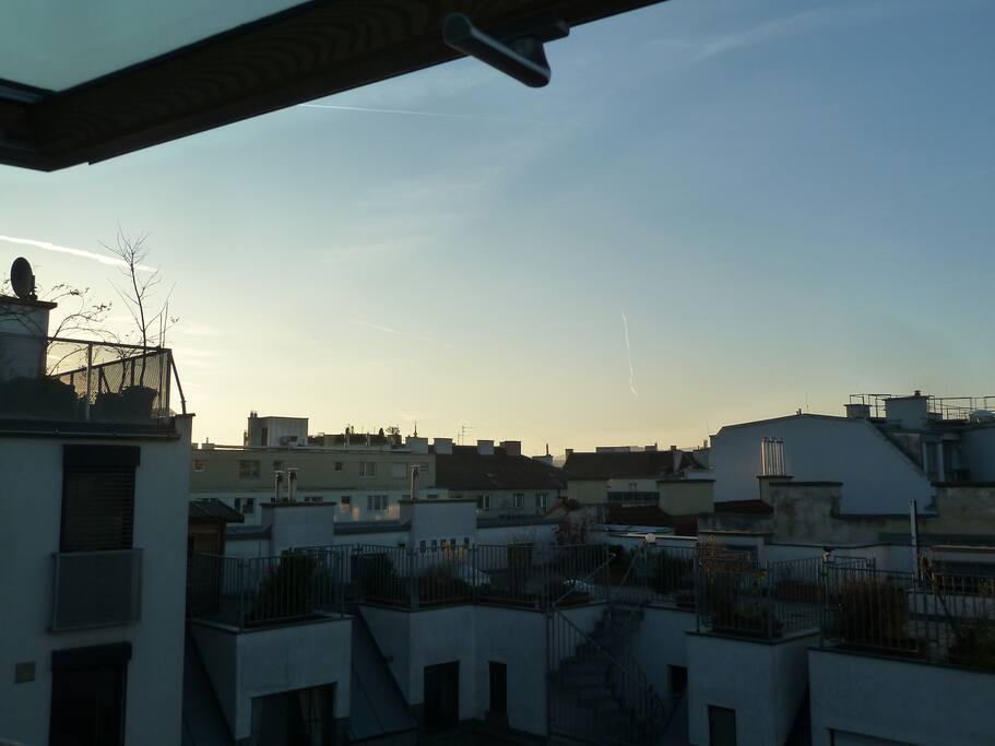 View to backyard