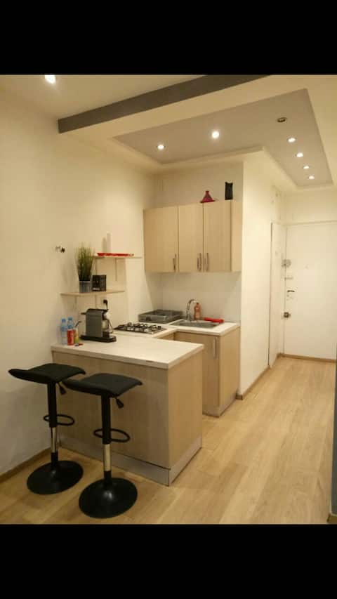Moderne appartement Hydra la placette