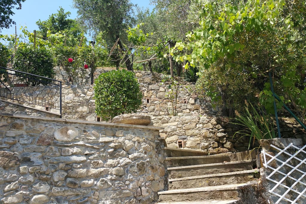 Escalier d'accès à la terrasse