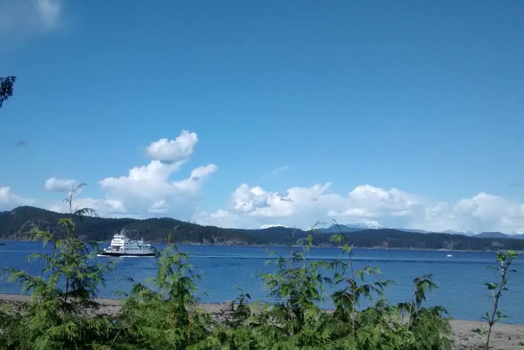 view from the patio