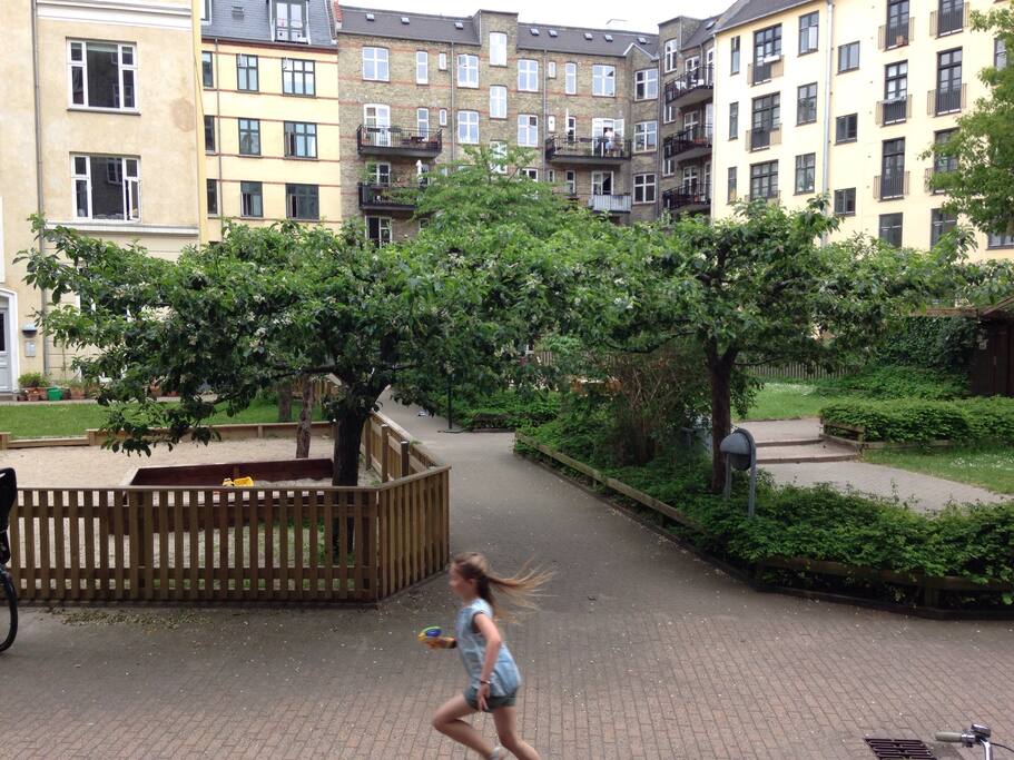 View to the courtyard from the dining room.