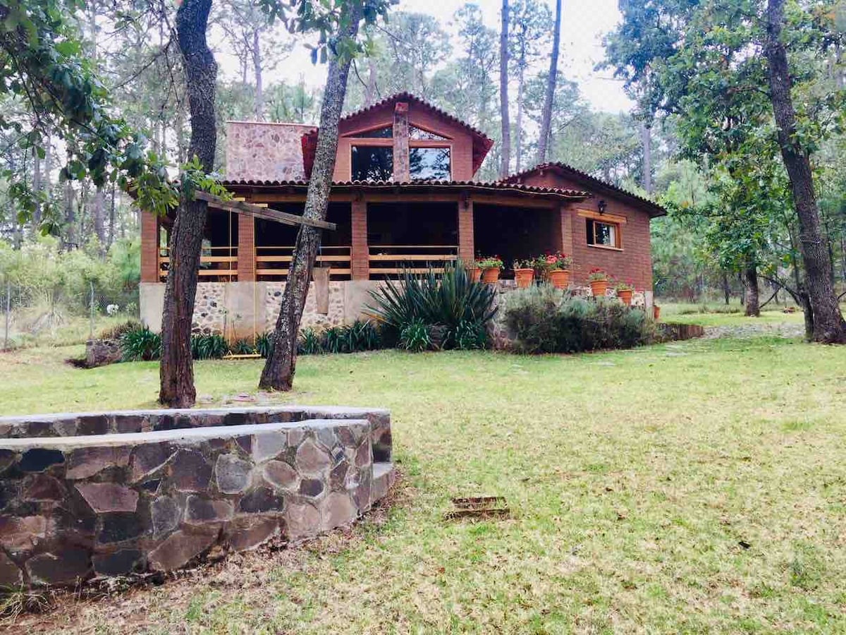 A rustic cabin is nestled under tall trees, featuring a warm wooden façade and large windows. The surrounding garden is well-maintained with green grass and shrubs. A circular stone fire pit is visible in the foreground, inviting gatherings outdoors.