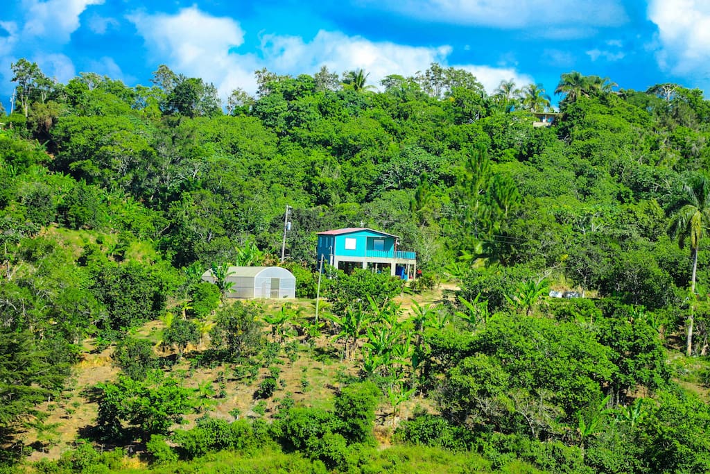We do have neighbors but this property is still quite private.