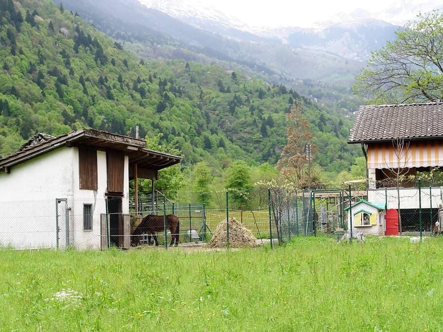 Pferdestall + Land