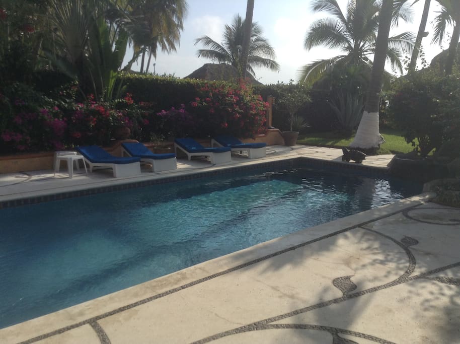 The pool area has 4 loungers for reading and enjoying the sun.