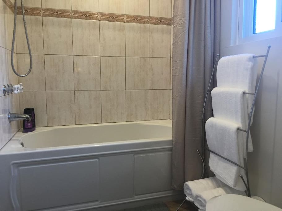 Master bathroom