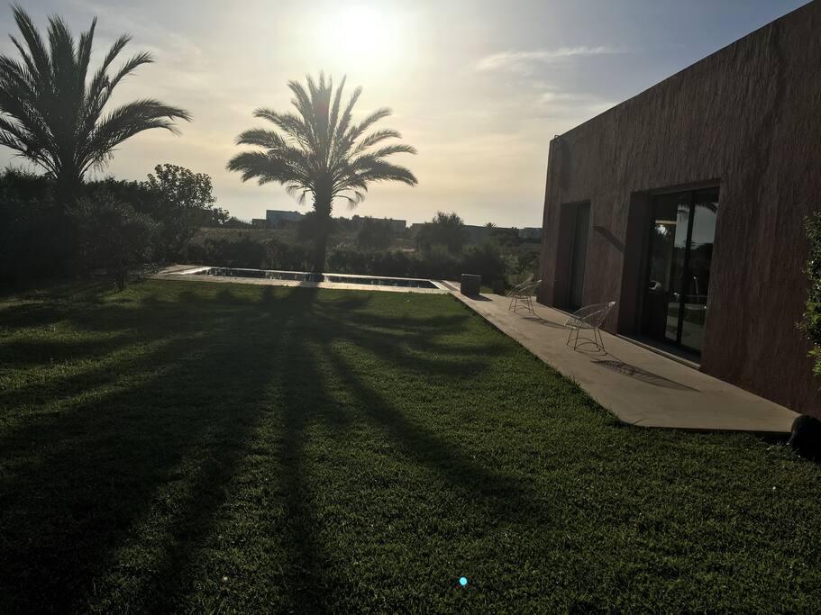 coucher de soleil sur le jardin