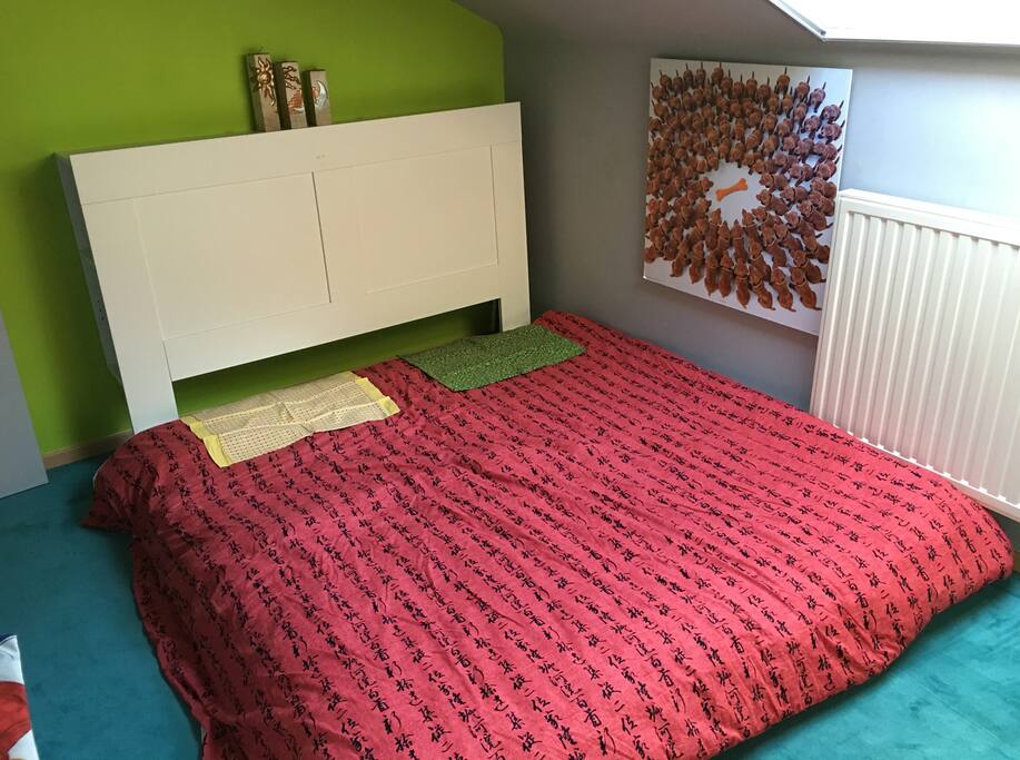 Tiny little room with 2 places to sleep with some special Feng Shui Energy Matte (see next picture)