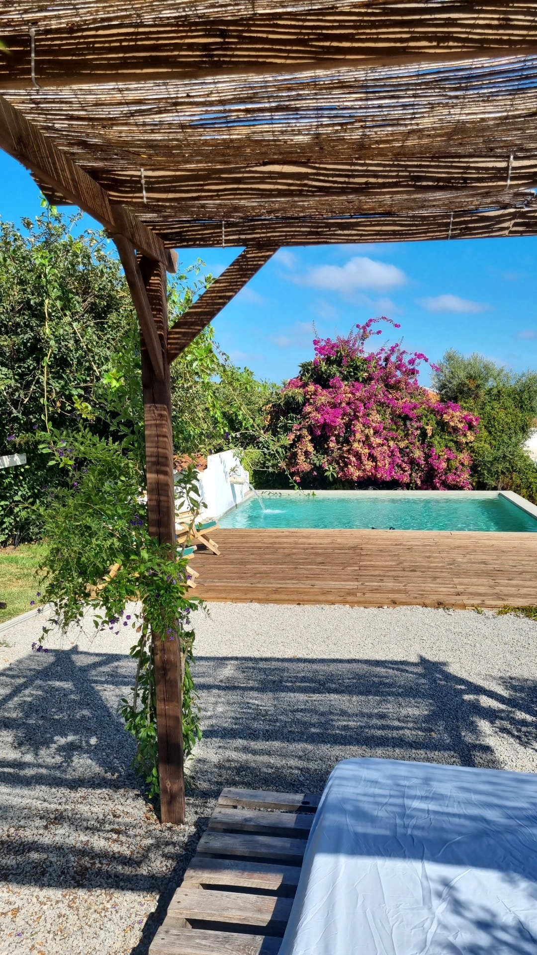 A shaded wooden structure provides a view of a tranquil swimming pool surrounded by lush greenery. Vibrant flowering plants climb along the fence, adding color to the serene outdoor space. The area features a gravel surface, enhancing the naturally relaxing environment.