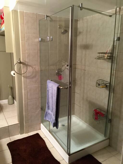 Large private bathroom inside bedroom