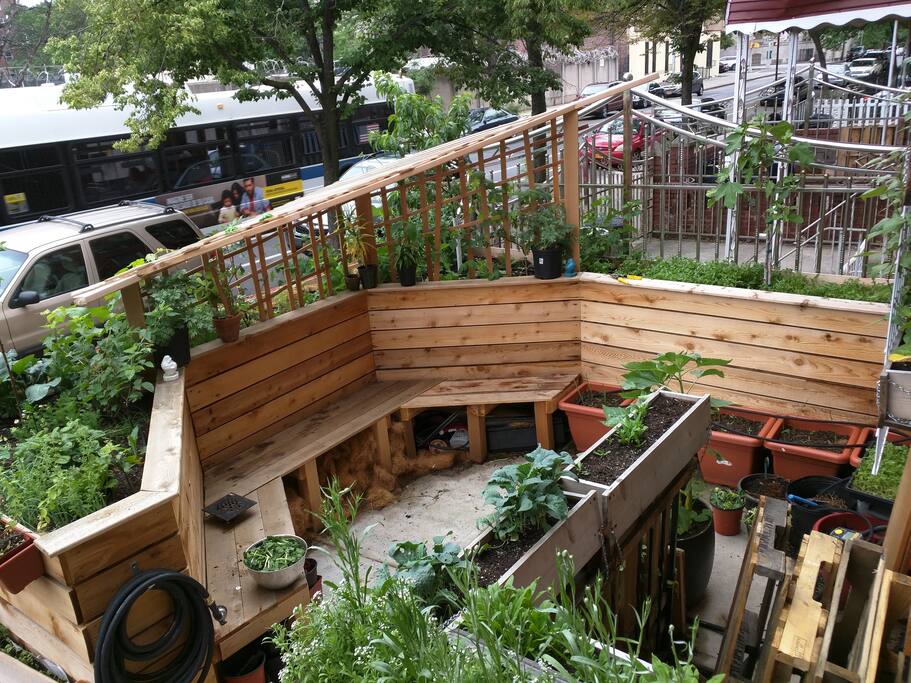 Front yard Oasis Garden