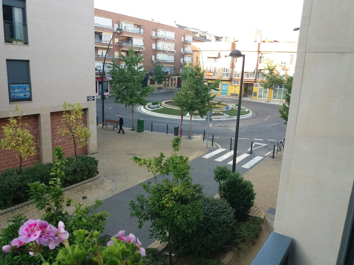 A view of the neighborhood from a window showcases a circular plaza surrounded by well-maintained greenery. Pedestrians can be seen walking along the paved pathways, while varied residential and commercial buildings line the street, contributing to the vibrant atmosphere of the area.