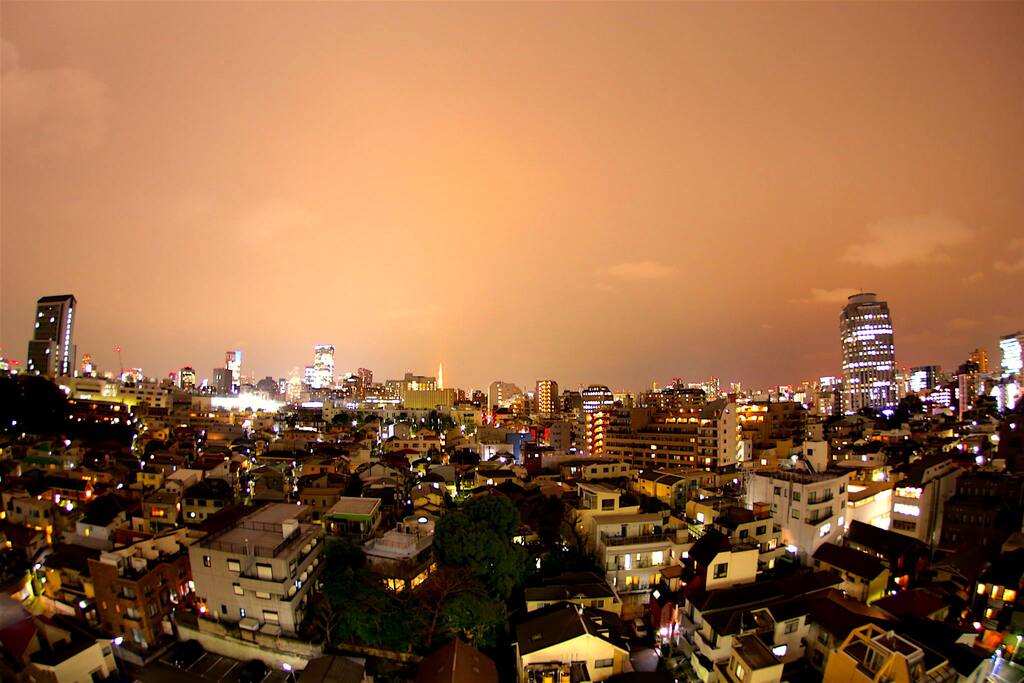 You can see ”TOKYO TOWER”