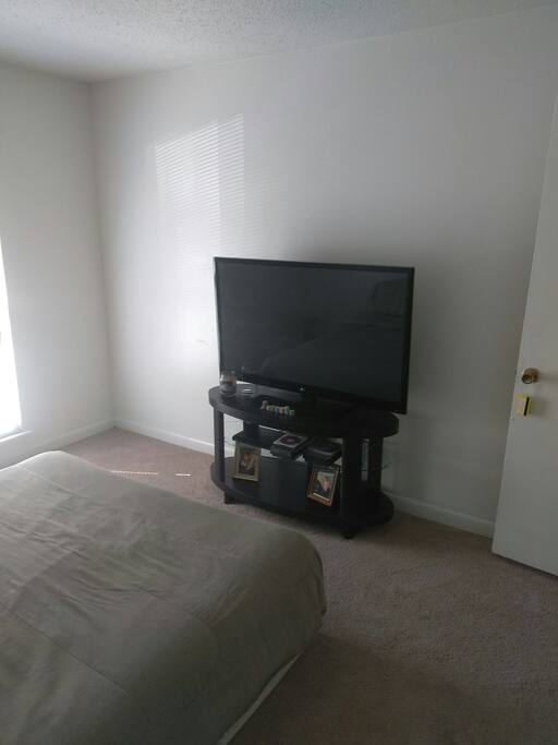 big flat screen TV w/ DVD player