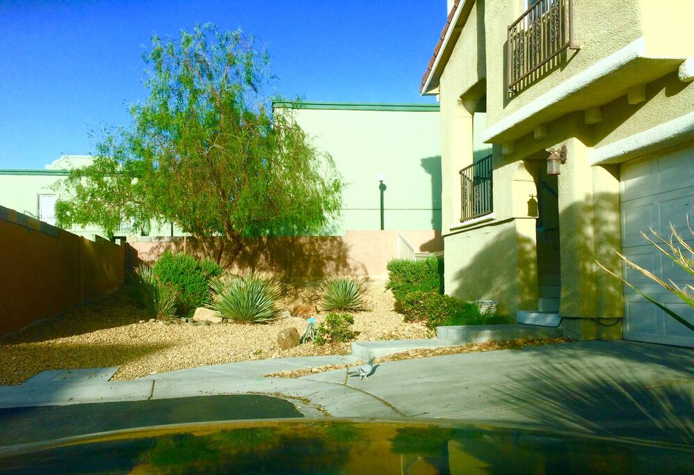 Zen willow shaped tree and mini DREAM stone art installation so you know you arrived.