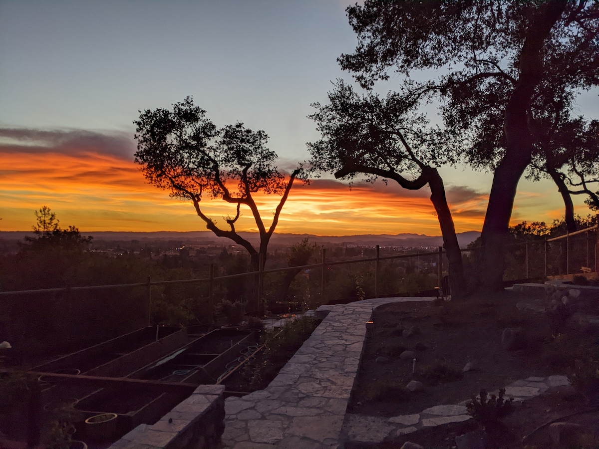 A sunset view is captured beyond the silhouetted trees, with vibrant streaks of orange and purple illuminating the sky. The foreground features a stone pathway leading through a landscape that includes raised garden beds, enhancing the serene and natural setting.
