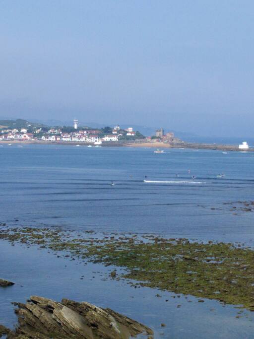 marée basse