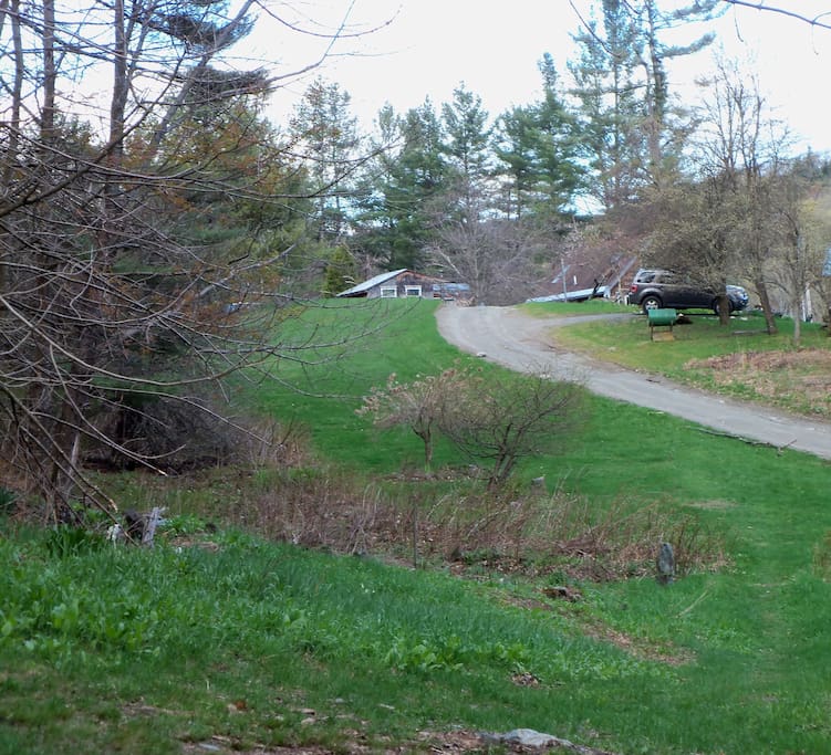 The view from in front of the house, looking east. The other side of the house leads directly into deep woods.