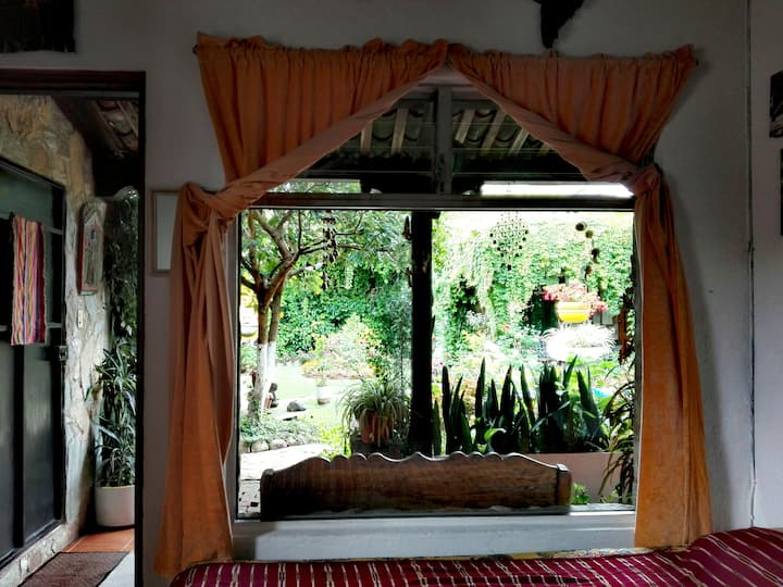Window, view of the Garden (Large place for any eventuality; whether for Work or for relaxation)

Ventanana, view of the Garden (Wide place for any eventuality; whether it's for Work or relaxation)