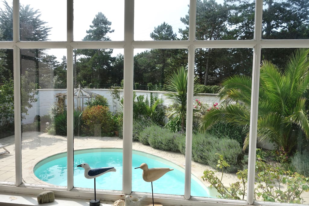 La piscine depuis la petite verrière