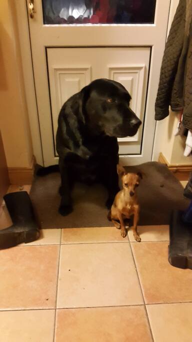 Little and large