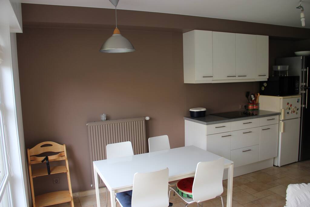 open keuken met keramisch fornuis, microgolf en frigo
