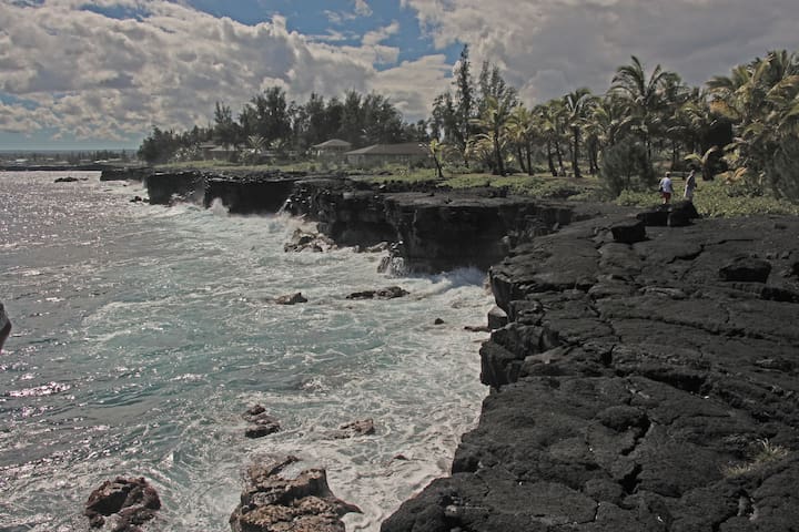 Serene & Artsy, 1/2 acre, Oceanfront Home, Bikes!