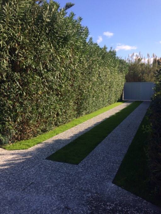 Cancello e vialetto d'ingresso