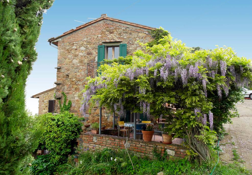 terrazza davanti alla cucina
kitchen terrace
