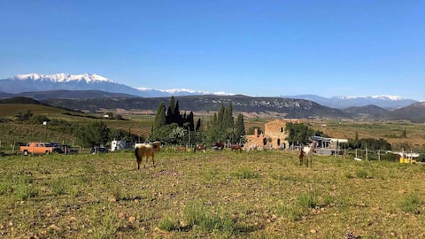 Bungalow immersed in a Ranch in Tautavel!