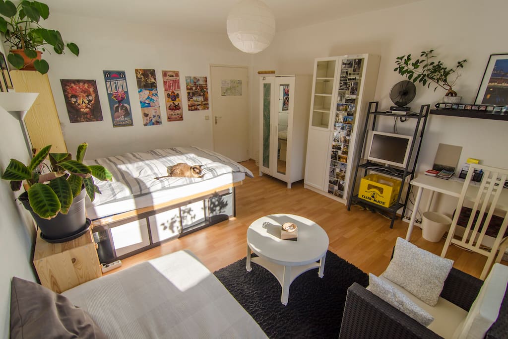 This can be your room