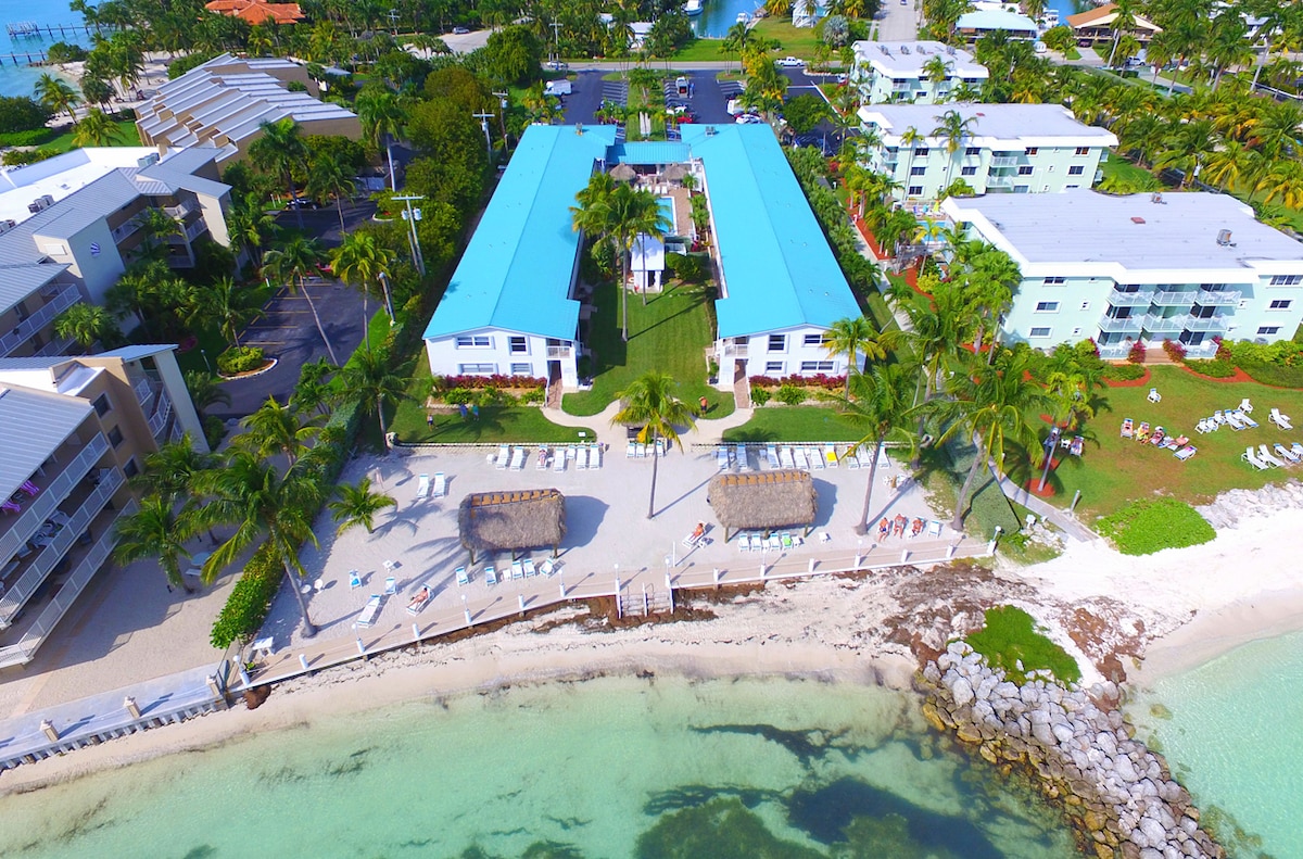 An aerial view of the beachfront complex showcases a vibrant landscape with lush palms surrounding the property. The well-maintained grounds feature lounge areas and tiki huts adjacent to the sandy beach. The ocean's gentle waves are visible along the shoreline, reflecting the clear blue sky.