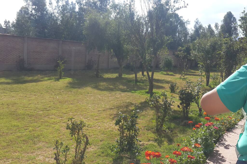 Contacto con la naturaleza