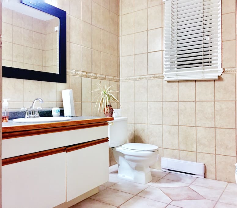 The main bathroom - this is a shared bathroom, there is an ensuite two piece bathroom attached to the master bedroom