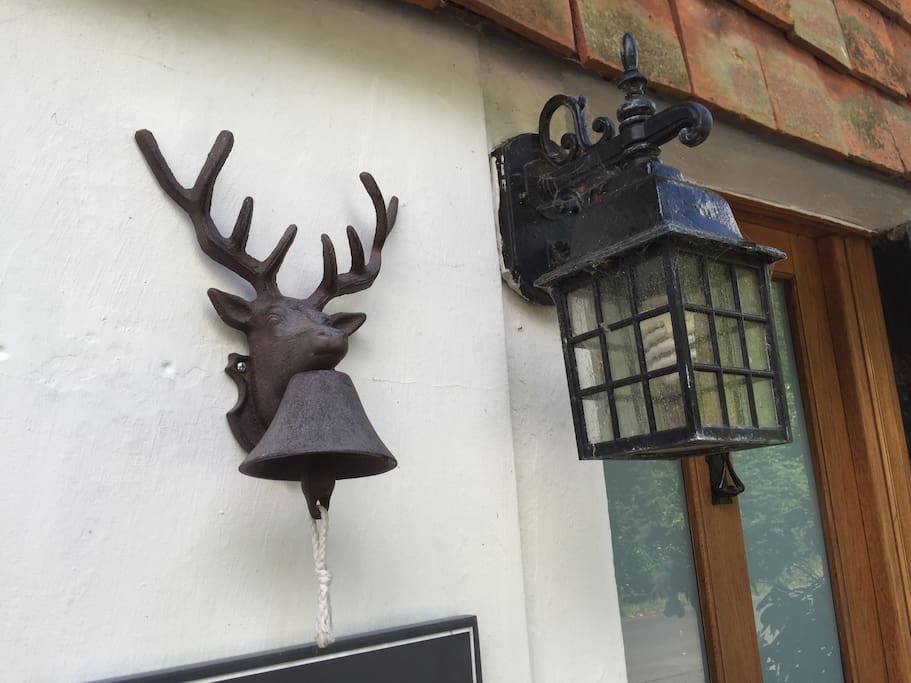 Stag and Lantern