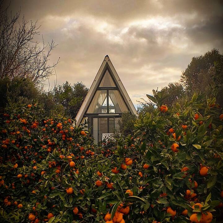 Teos piramit ev Seferihisar şehrinde Kiralık Kubbe evler, İzmir, Türkiye