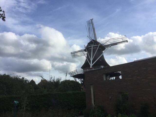 Dorps studio met loft,terras en zicht op windmolen