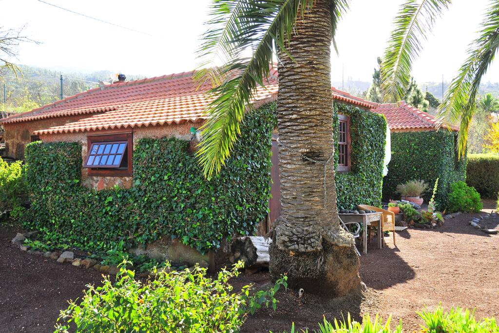 Zugang zum Palmera