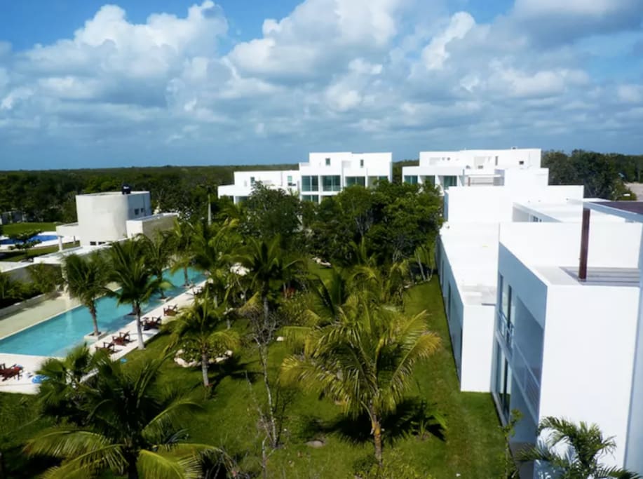Tropical lush gardens