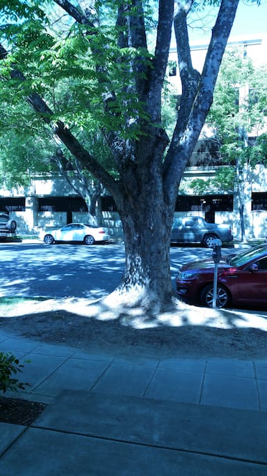Looking out to street from front porch