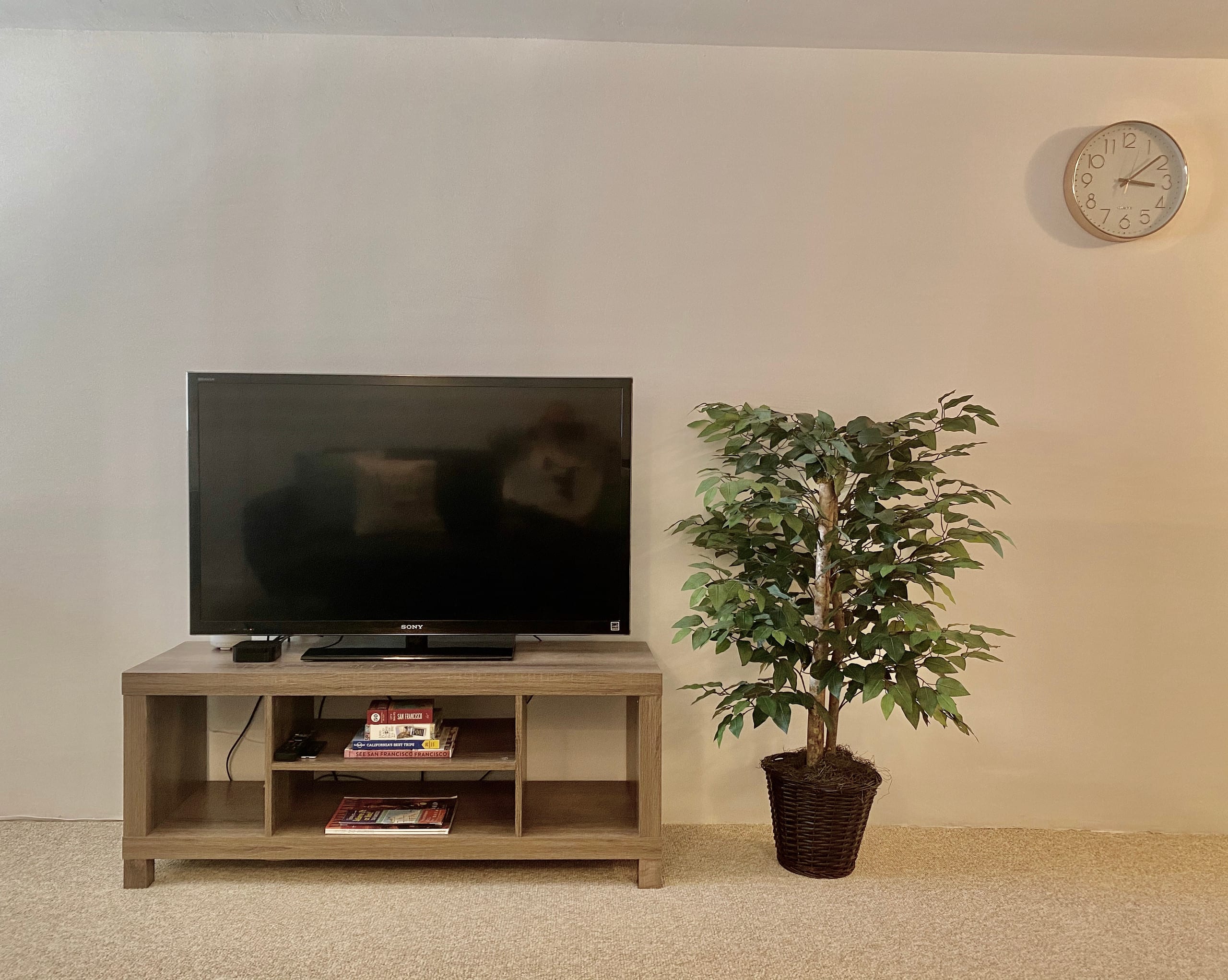 Private Suite in the HEART of Noe Valley! - Image 2