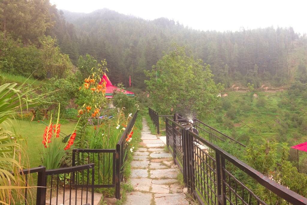 Garden and Forest View