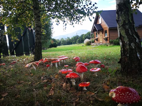 Top Airbnb: Beautiful atmospheric cottage under Magurka in śląskie