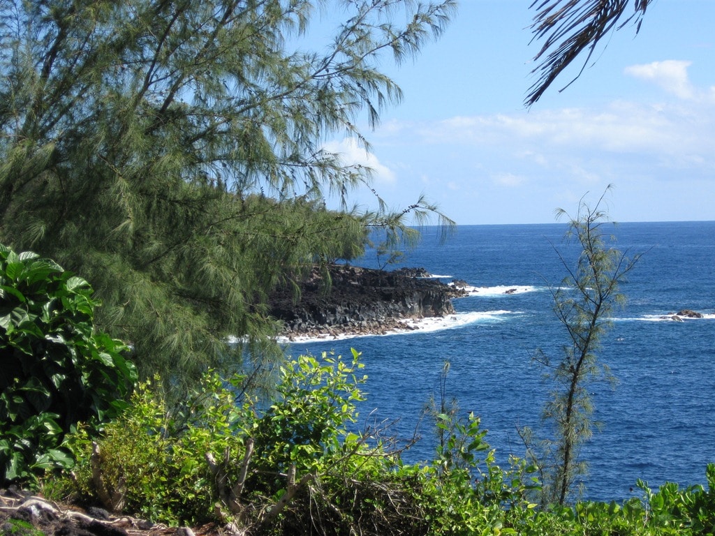 The ocean view reveals a rocky coastline under clear blue skies. Lush greenery frames the image, including tall trees and shrubs. Gentle waves can be seen lapping against the rocks, highlighting the natural beauty of the coastal landscape.