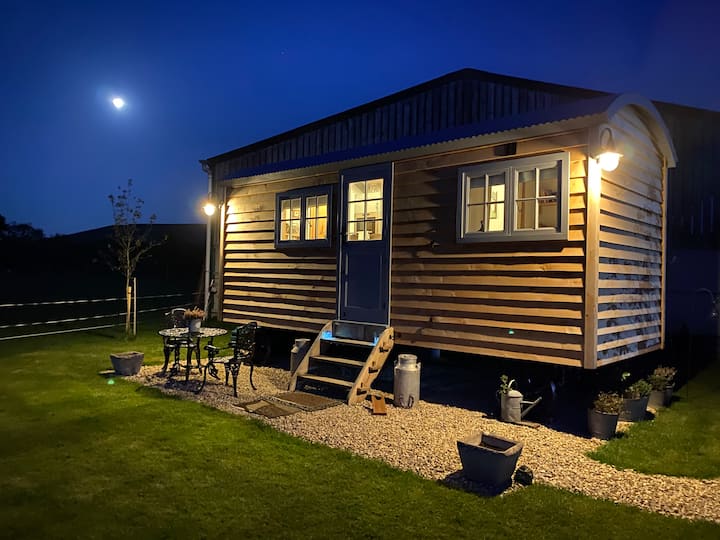 Oak Haven Shepherd's photo 2