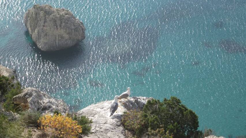 Comfort in the heart of Cagliari