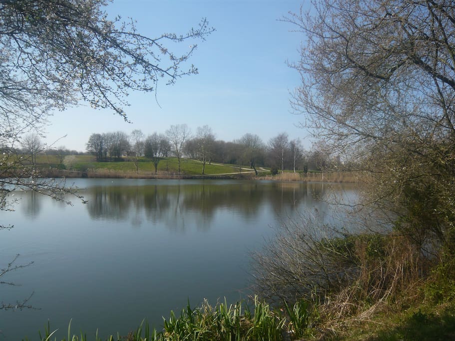 A proximité immédiate, un parc de plusieurs hectares qui conduit jusqu'à la Marne